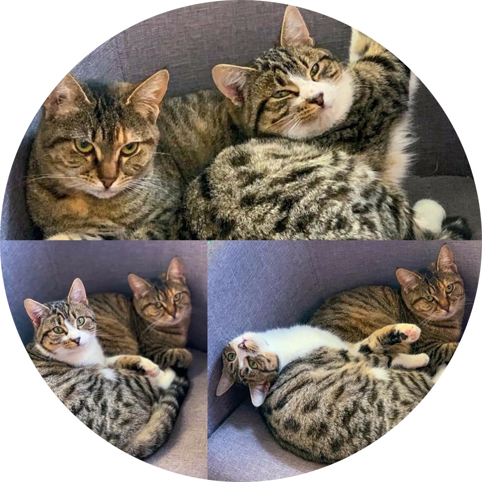 Maya & Bella