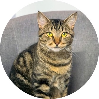 Narla