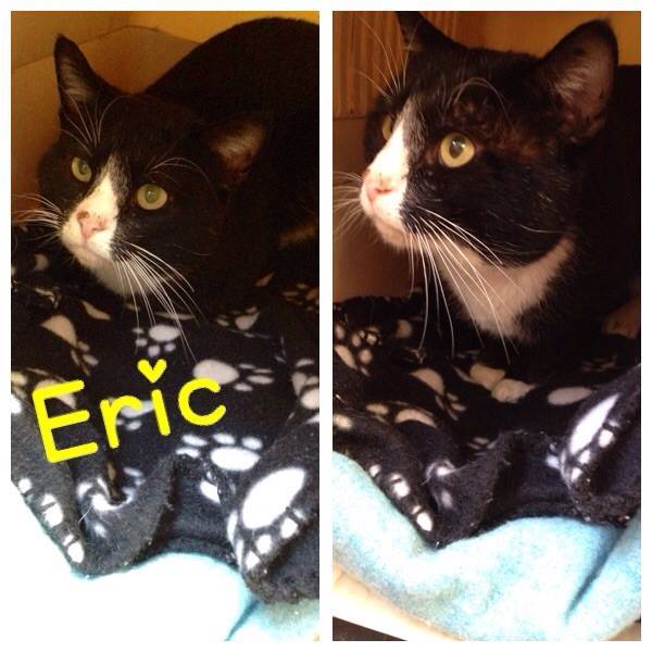 Eric