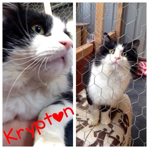 Krypton