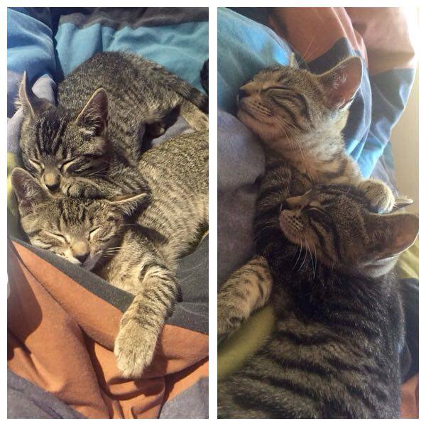 Mindy and Daphne