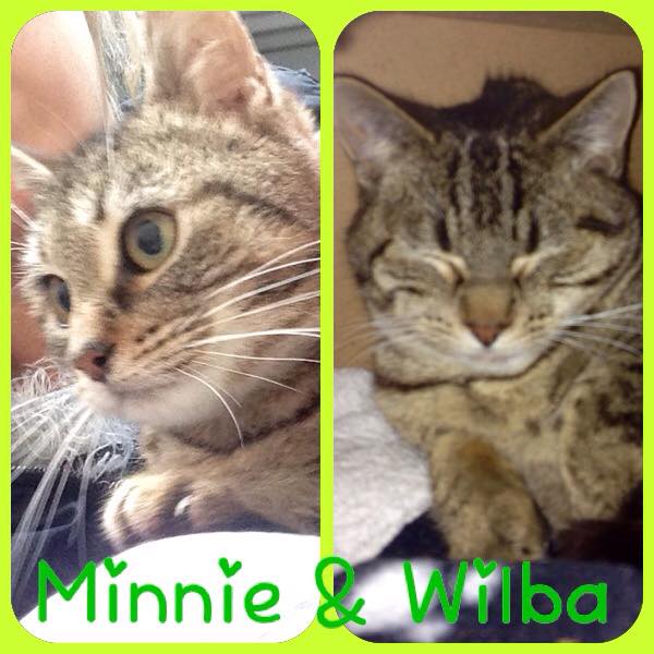 Minnie & Wilba