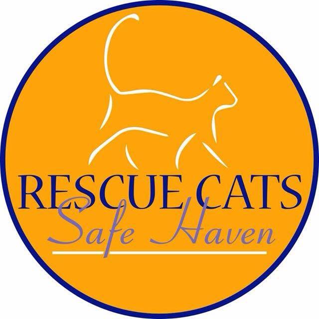 Rescue Cats Safe Haven About Us Rescue Cats Safe Haven