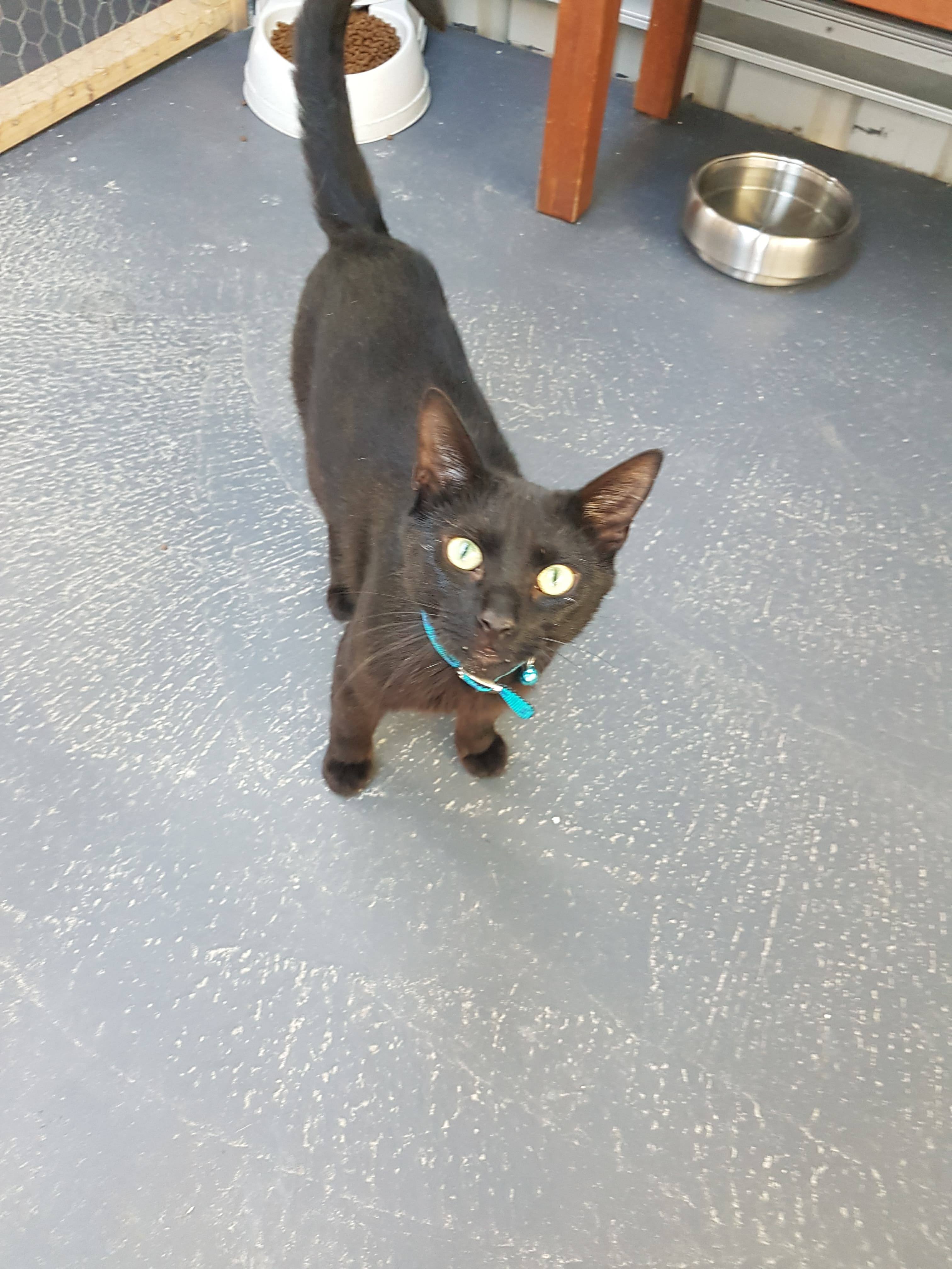 Charlie