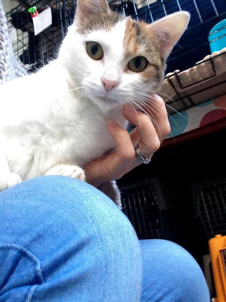 Coco