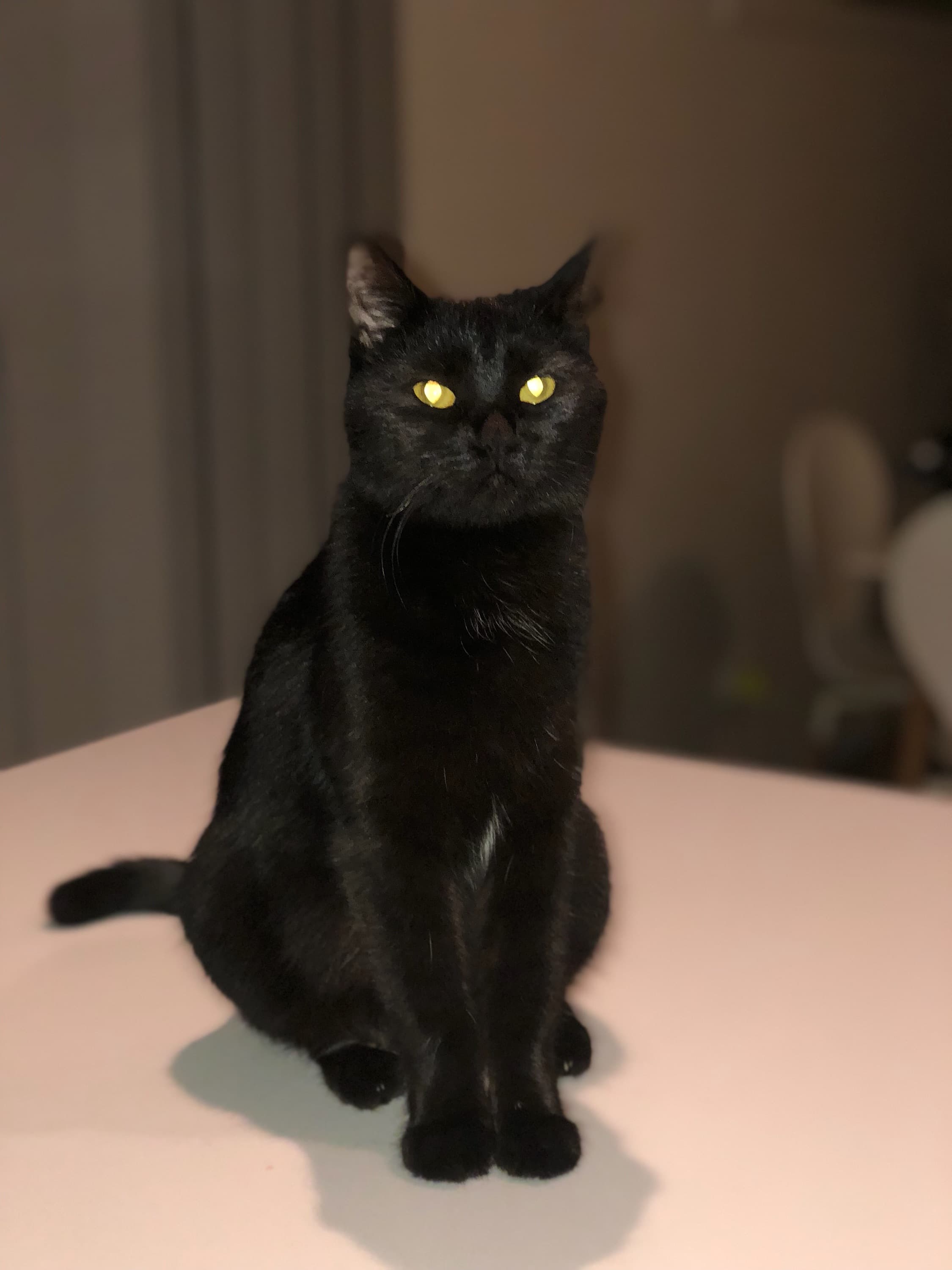 Millie