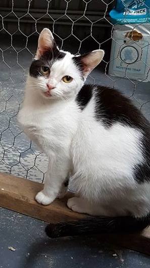 Sammy