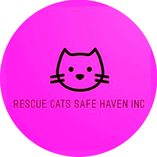 Rescue Cats Safe Haven